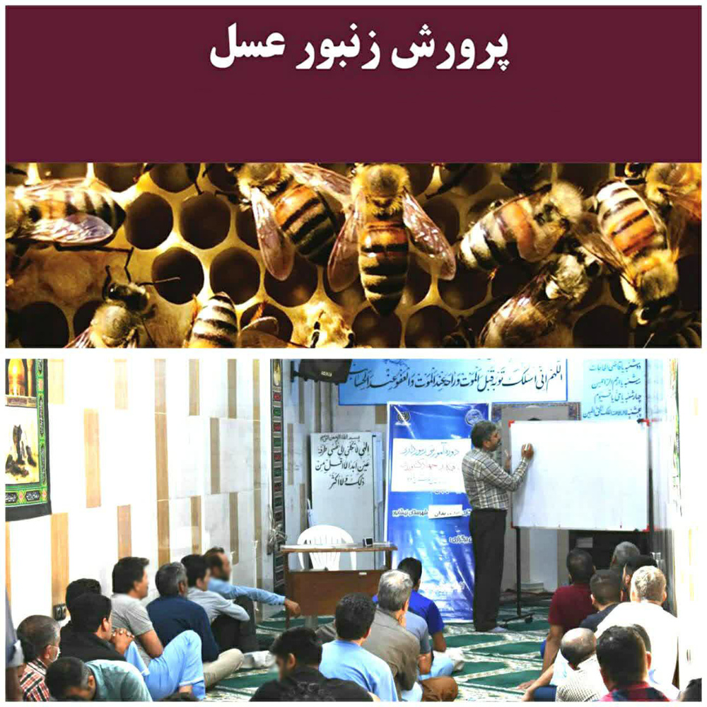 برگزاری کارگاه آموزشی پرورش زنبور عسل در زندان نیشابور 