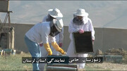 پرورش زنبور عسل در زندان‌های لرستان