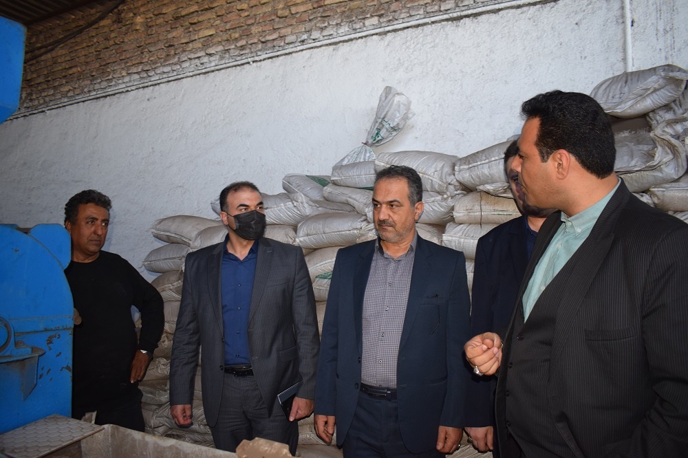 مدیرکل اشتغال و حرفه‌آموزی سازمان زندان‌ها از زندان‌های گلستان بازدید کرد
