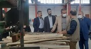 معاون پیگیری اجرای ماموریت‌های سند تحول قضایی از زندان تحولی رشت بازدید کرد