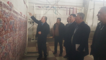 برش فرش نفیس ۱۲ متری توسط مدیرکل زندان‌های آذربایجان‌غربی 