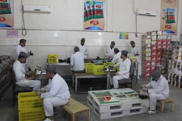 718 نفر مددجوی زندان رجایی‌شهر در کارگاه‌های اشتغال مشغول به کار هستند