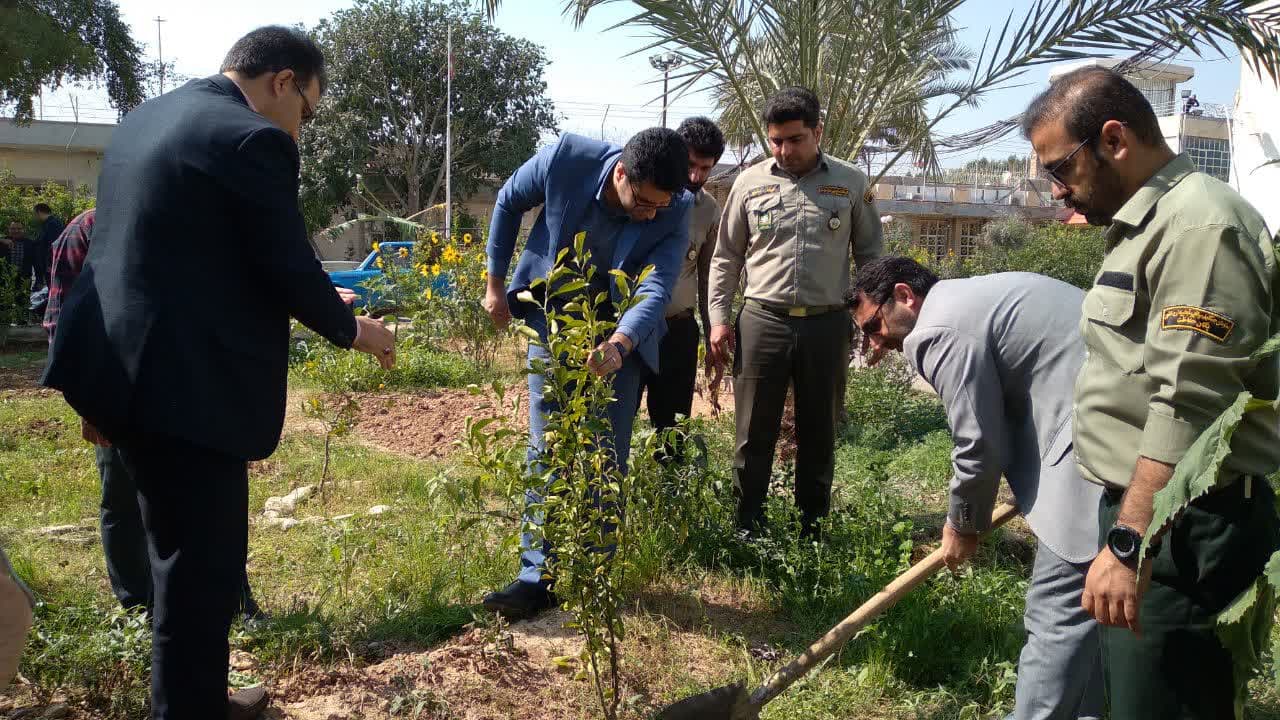 غرص 25 نهال مثمر به مناسبت روز درختکاری در زندان دزفول