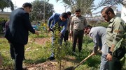 غرس 25 نهال مثمر به مناسبت روز درختکاری در زندان دزفول