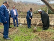 کاشت درخت همزمان با «هفته درختکاری» در اداره‌کل زندان‌های استان تهران