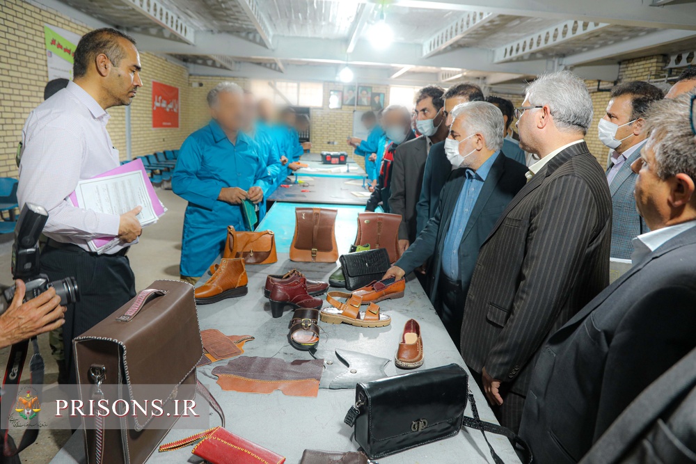 فیلم| رهیافت‌های سفر استانی رئیس سازمان زندان‌ها به کرمان (۲)