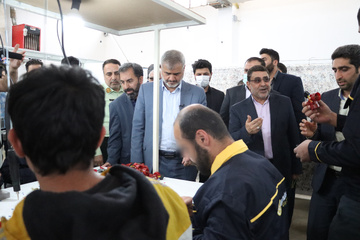رئیس‌کل دادگستری استان تهران از ندامتگاه دماوند بازدید کرد