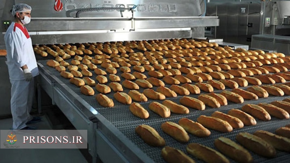 اشتغال ۲۰ نفر از مددجویان انجمن حمایت زندانیان ارومیه در تولیدی نان صنعتی نهارک