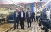 توسعه زیرساخت‌های فرهنگی در زندان مرکزی قزوین