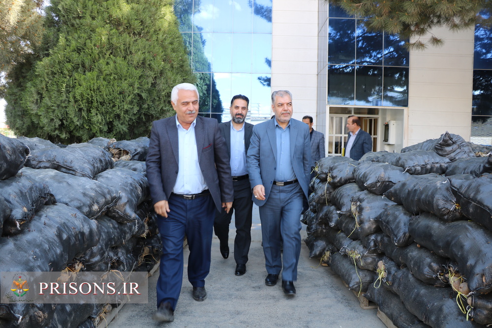 ایجاد فرصت شغلی برای ۱۱۰ نفر از مددجویان در کارخانه آفتاب ارومیه مدیرعامل شرکت آفتاب آذربایجان