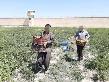 عرضه دسترنج زندانیان میاندوآب در بازار فروش محصولات کشاورزی