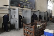 توسعه اشتغال زندانیان با مشارکت بخش خصوصی در زندان آمل