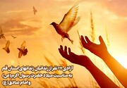 آزادی ۱۷ زندانی جرایم غیرعمد بمناسبت میلاد پیامبر اکرم(ص)