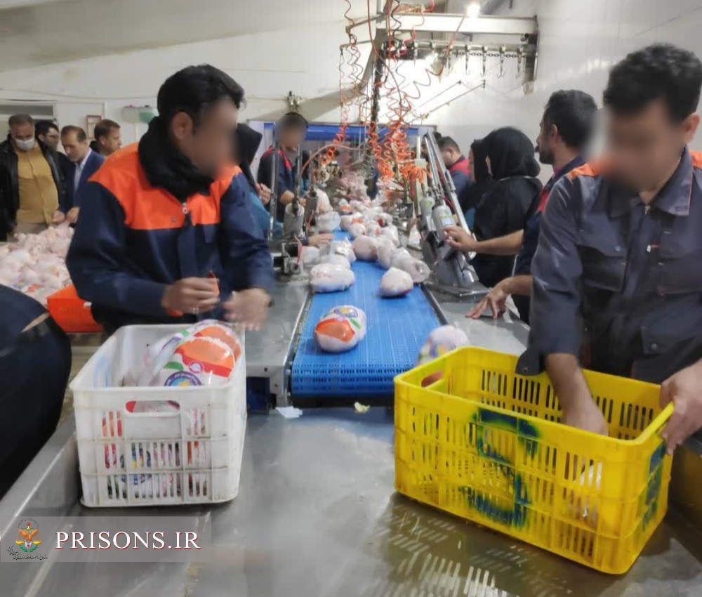 اشتغال ۲۶ زندانی نیشابوری در کشتارگاه صنعتی