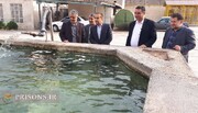 رهاسازی ۲۰۰۰ قطعه ماهی سردآبی قزل‌آلا در استخرهای زندان رودبار