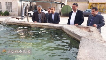  رهاسازی ۲۰۰۰ قطعه ماهی سردآبی قزل‌آلا در استخرهای زندان رودبار