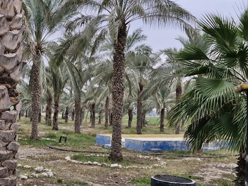 مجتمع کشاورزی بوشهر