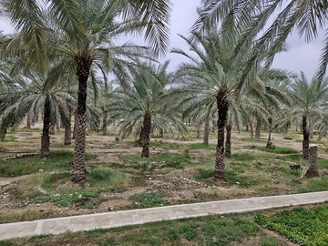 مجتمع کشاورزی بوشهر