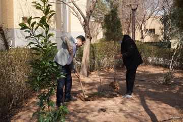 کاشت نهال میوه توسط مدیرکل زندان‌های استان یزد در روز درخت‌کاری