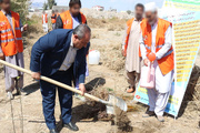 کاشت ۳۰۰۰ اصله نهال در مراکز  تامینی‌وتربیتی استان سیستان و بلوچستان