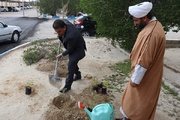 کشت ۳۵ نهال توسط رئیس و جمعی از کارکنان زندان دشتستان