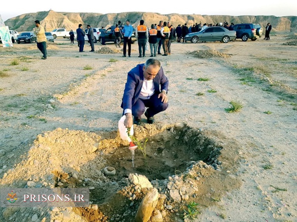 کاشت نهال توسط مدیرکل زندان‌های استان بوشهر به مناسبت روز درختکاری
