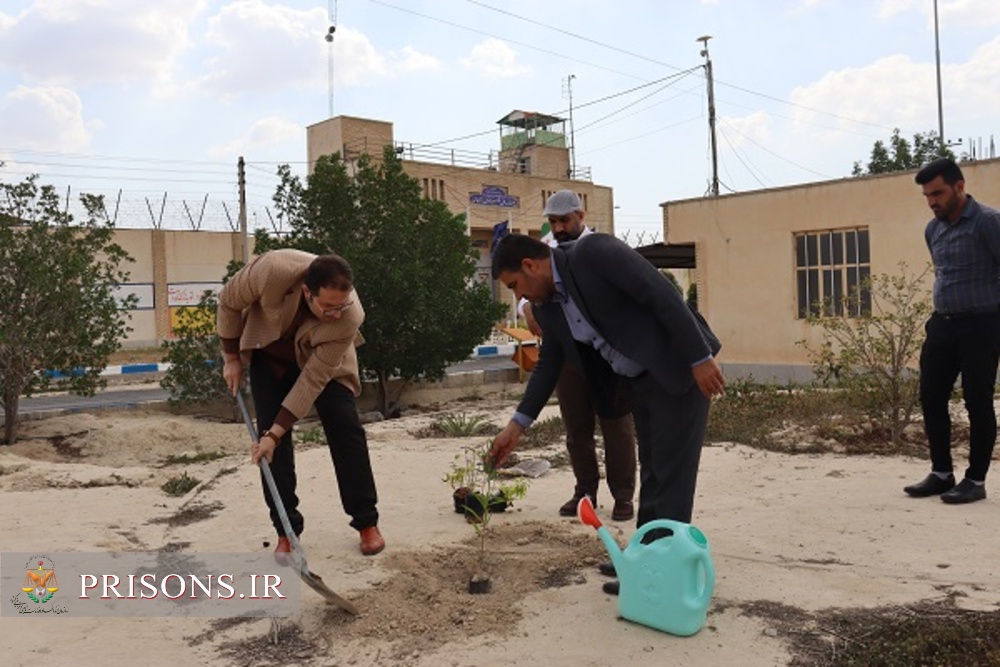 کشت ۳۵ نهال توسط رئیس و جمعی از کارکنان زندان دشتستان