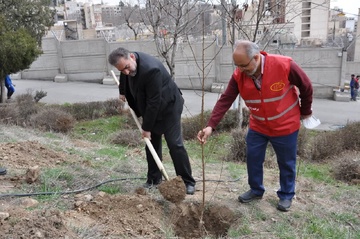 کاشت درخت در بازداشتگاه اوین