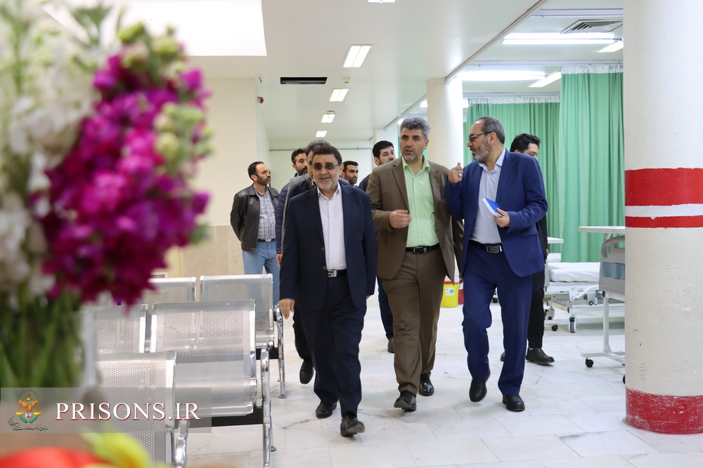 مدیرکل زندان‌های استان تهران از بیماران فصلی تحت درمان عیادت کرد