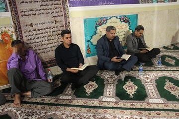 مرکزی بوشهر