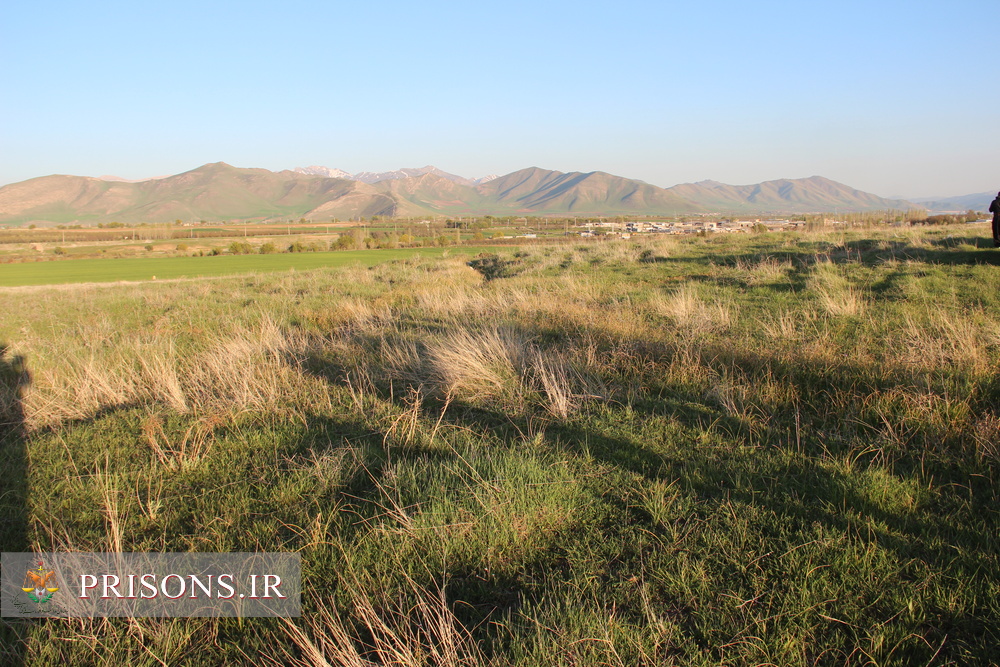 زمین پیشنهادی برای ساخت بازداشتگاه شهرستان پیرانشهر 