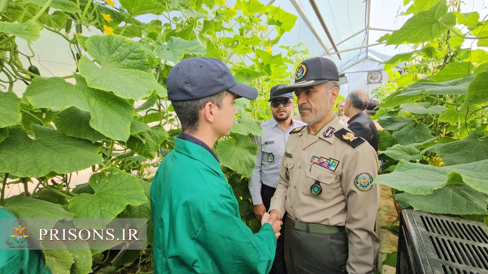 افتتاح اولین مرکز ویژه مهارتی و حرفه‌آموزی سربازان زندان‌های کشور در زندان عادل آباد شیراز 