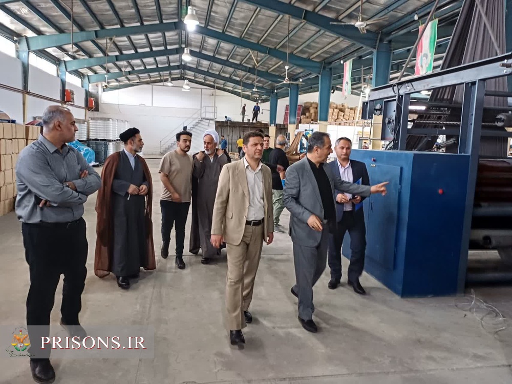 قائم مقام دفتر برنامه ریزی ، اشتغال وحرفه آموزی سازمان زندان‌ها از کارگاههای اشتغال زندان‌های گلستان بازدید کرد