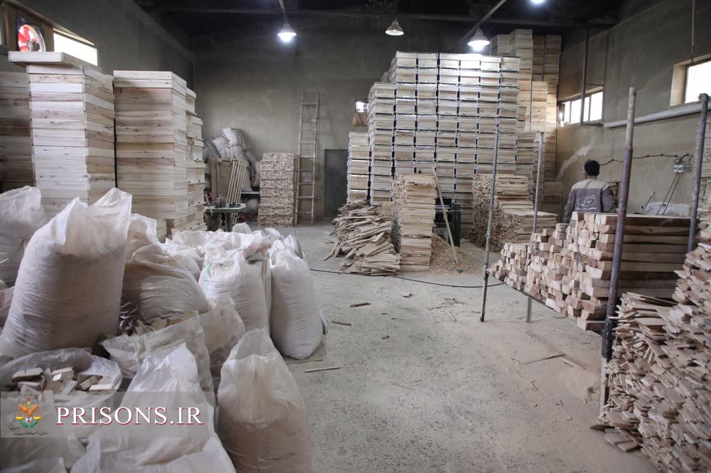 تولید 600 کندو در کارگاه تولیدی اردوگاه کاردرمانی همدان