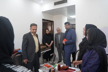 مدیرکل دفتر اقدامات حمایتی سازمان زندانها از انجمن حمایت زندانیان سنندج بازدید کرد