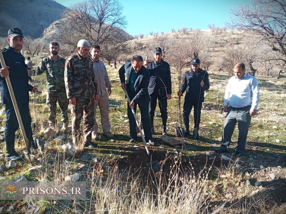 کاشت 100 اصله نهال توسط کارکنان و سربازان وظیفه اردوگاه کاردرمانی ایلام