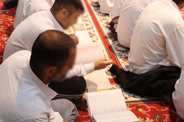 البرز