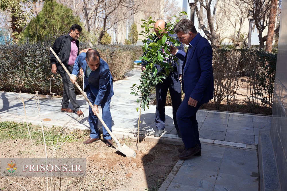 کاشت نهال توسط مدیرکل زندان‌های استان یزد در روز درخت‌کاری