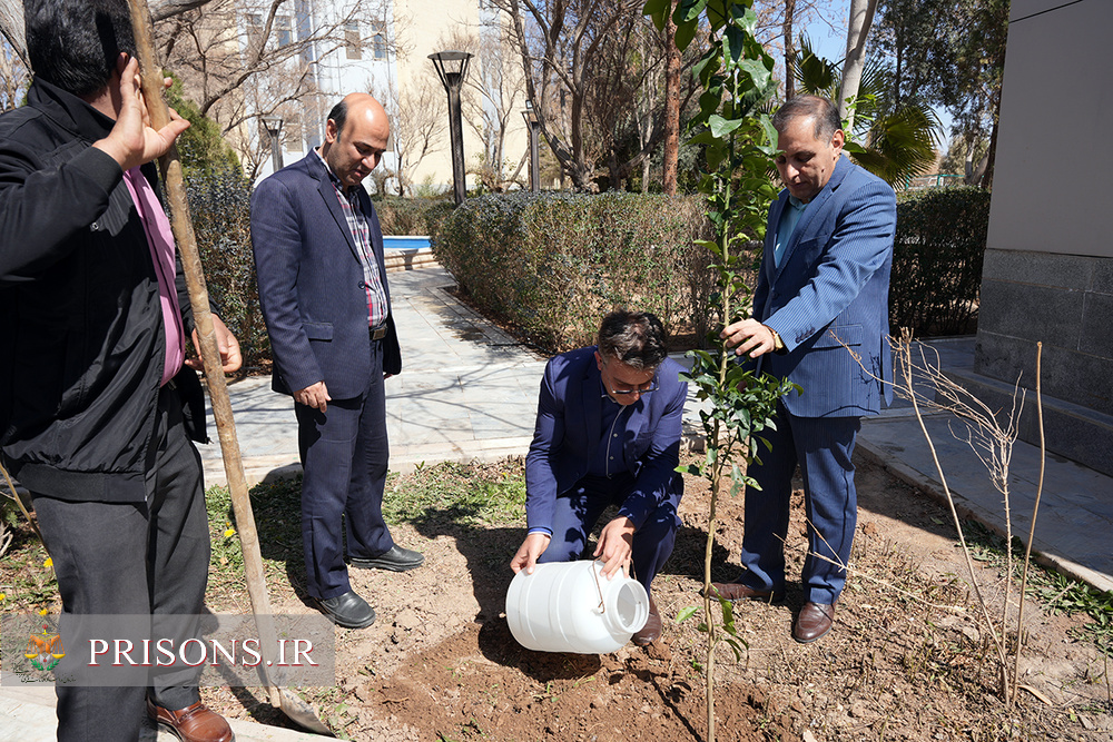 کاشت نهال توسط مدیرکل زندان‌های استان یزد در روز درخت‌کاری