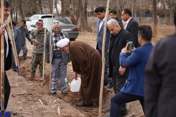 آئین کاشت ۲۰ هزار اصله درخت کرمان