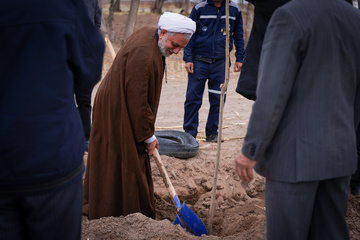 آئین کاشت ۲۰ هزار اصله درخت کرمان