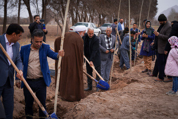 آئین کاشت ۲۰ هزار اصله درخت کرمان