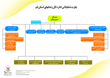 چارت اداره کل زندانهای استان قم