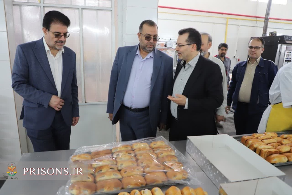 بازدید مدیرکل آموزش فنی و حرفه ای خراسان رضوی از زندان مرکزی مشهد