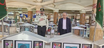 بوشهر
