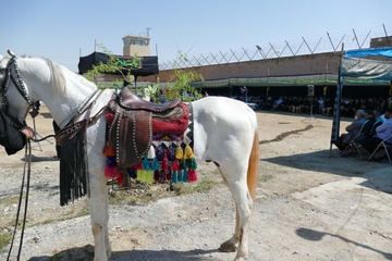 تعزیه در اردوگاه اراک