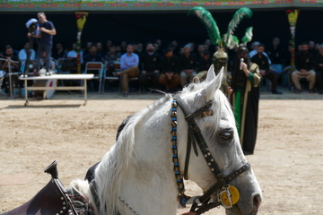 تعزیه در اردوگاه اراک