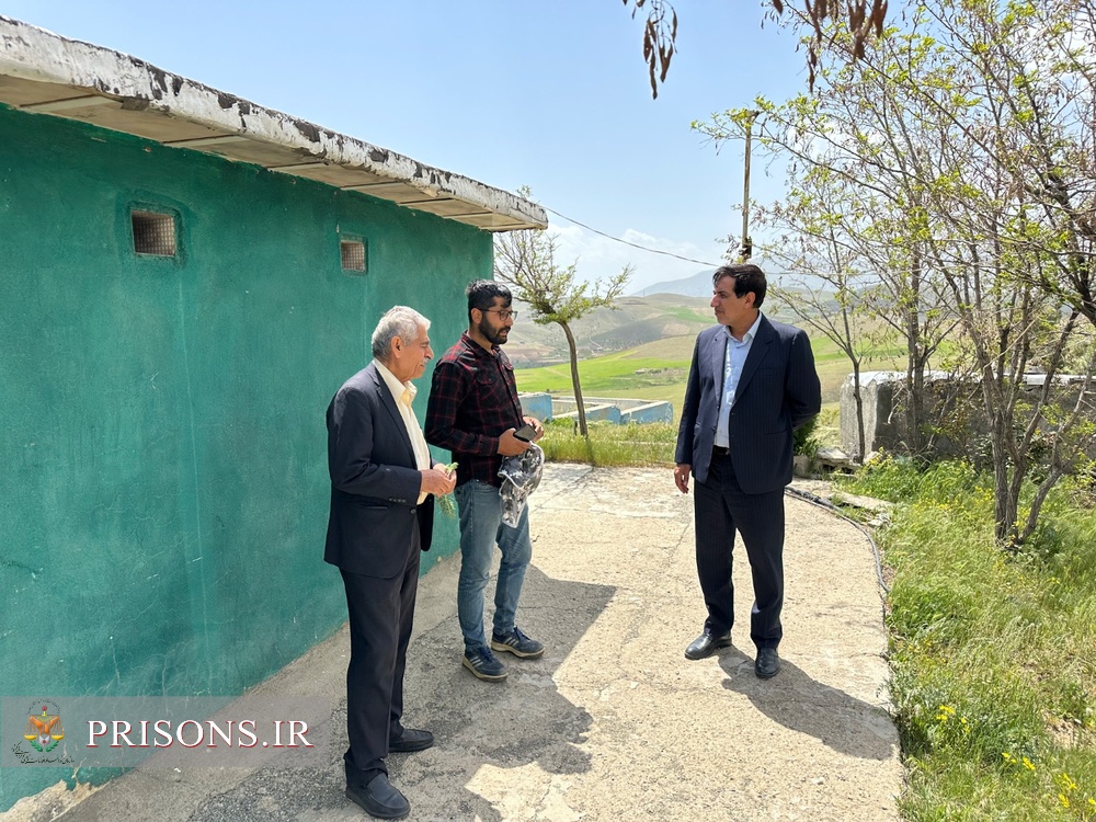بازدید مدیرکل زندان‌های استان کردستان از مجتمع اشتغال زندانیان در سرخ‌دزج و کارگاه تولید ام دی اف