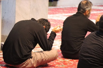 البرز