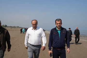همایش پیاده روی